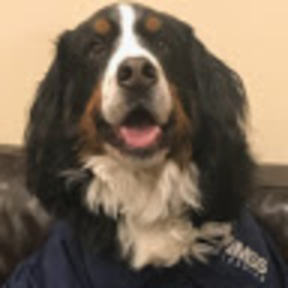 Meet your Posher, Andrew - Picture 1 of 1